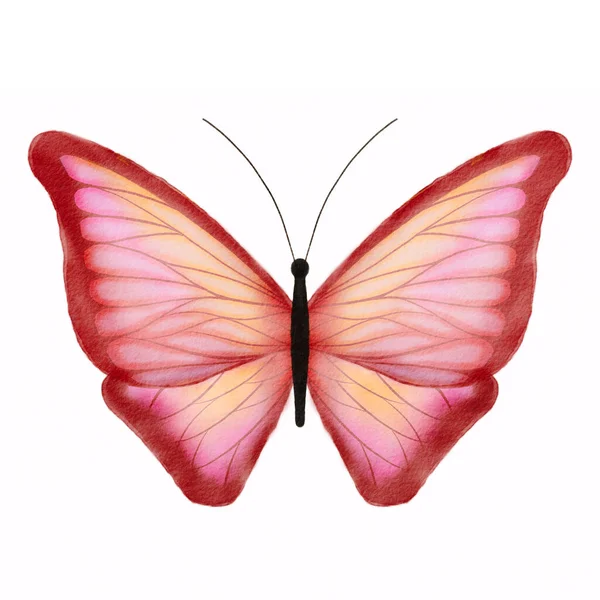 Akvarel Ručně Kreslený Červený Motýl Izolované Bílém Pozadí — Stock fotografie