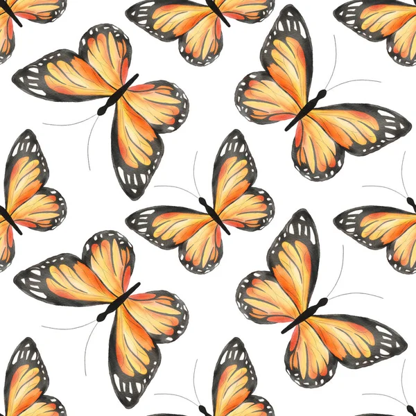 Seamless pattern watercolor hand drawn butterfly isolated on white background. Orange Monarch butterfly
