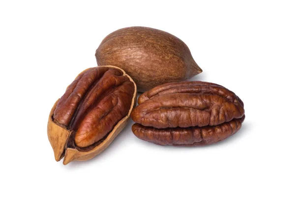 Pecan Nut Isolated White Background — Stock Photo, Image