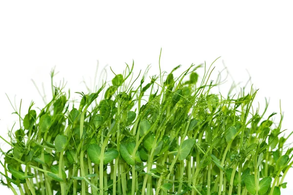 Micro Verdi Piselli Germogli Isolati Sfondo Bianco Concetto Alimentazione Sana — Foto Stock