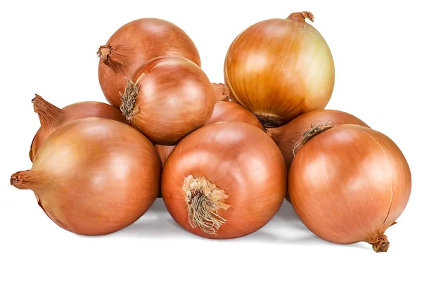 Fresh Raw Bulb Onions Whole Isolated White Background — Stock Photo, Image