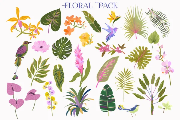 Collection Plantes Tropicales Fleurs Illustration Vectorielle Modifiable — Image vectorielle