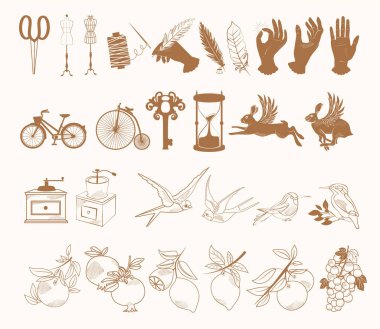 Collection of vintage elements linear symbols, icons design. Bicycle, key, coffee machine, hourglass, bird, plant. Editable Vector Illustration.