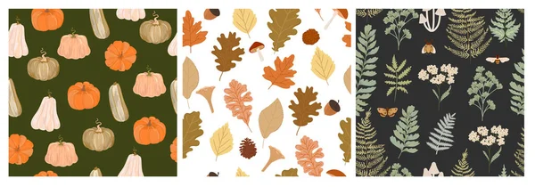 Collection Seamless Pattern Autumn Plants Pumpkin Editable Vector Illustration — Stock Vector