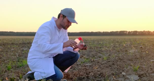 A laborasszisztensek megvizsgálják a növénytermesztést. Mezőgazdasági ipar — Stock videók