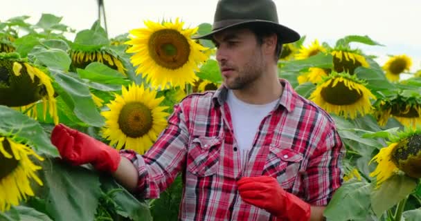 Cientista faz análise de plantas. Conceito ecologia, inspeção, produtos naturais — Vídeo de Stock