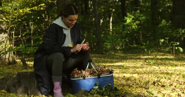 Femme coupant des champignons. Femme pelant la truffe comestible à l'extérieur pendant la randonnée — Video