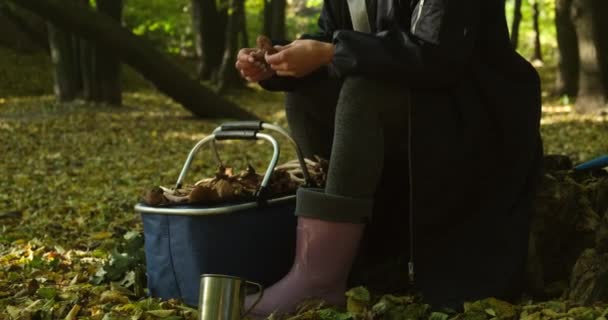 Женщина режет грибы. Женщина чистит съедобные трюфели на открытом воздухе во время похода — стоковое видео
