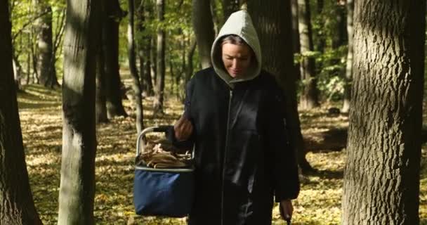 Poszukiwanie grzybów w lesie. kobieta kroi grzyba nożem. — Wideo stockowe
