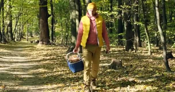 Procurar cogumelos no bosque. homem está cortando um cogumelo branco com uma faca. — Vídeo de Stock