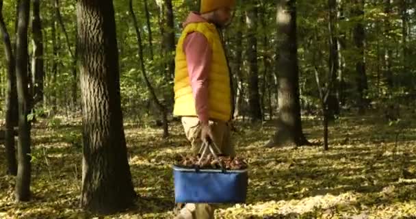 Leta efter svamp i skogen. man skär en vit svamp med en kniv. — Stockvideo