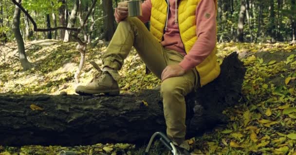 Bir fincan sıcak kahve ya da çay. - Evet. Sonbahar ormanında ateşin yanında bir kupa çay. seyahat kavramı — Stok video