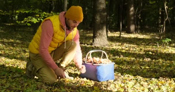 Искать грибы в лесу. Человек режет белый гриб ножом. — стоковое видео