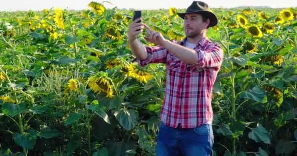 一个穿着格子花衬衫的男人在电视上给一片向日葵打电话。农场农场主 — 图库视频影像