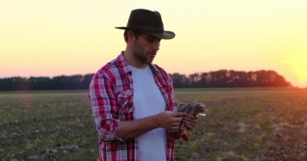 Fermier avec chapeau dans le champ de plantation de maïs. ranch au Texas. compte l'argent — Video