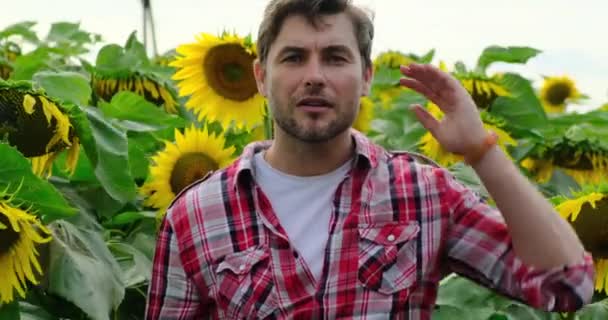 Agricultor em pé no campo irrigado. homem corajoso em um campo de cultivo. mostra ok — Vídeo de Stock