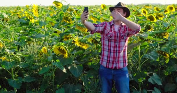 Чоловік у плетеній сорочці на відео називає поле соняшників. ранчо фермер — стокове відео