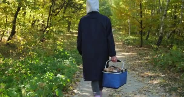 Mulher com cogumelo na cesta andando floresta de outono Vidoeiro. À colheita de cogumelos — Vídeo de Stock