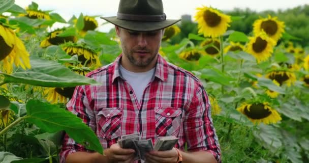 Agricultor em uma camisa xadrez e chapéu de cowboy contando dinheiro em um campo de girassóis — Vídeo de Stock