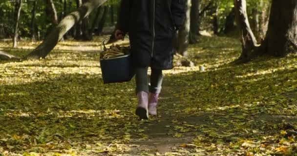Recogedor de setas en impermeable con una cesta de setas pasea por el bosque — Vídeo de stock