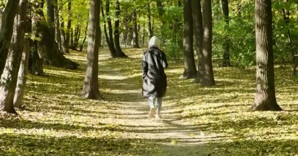 Femmina stanno camminando nella foresta con il cane. donna allegra va con gli animali — Video Stock