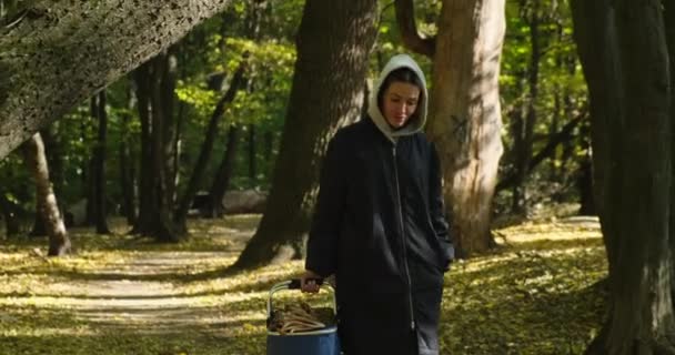 Recogedor de setas en impermeable con una cesta de setas pasea por el bosque — Vídeos de Stock