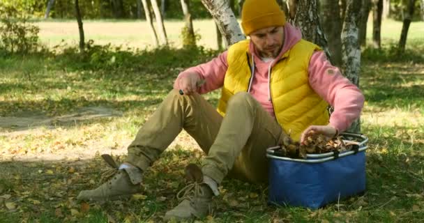 L'uomo nella foresta si siede su un ceppo, pulisce un fungo con un coltello. Dolly ha sparato. — Video Stock