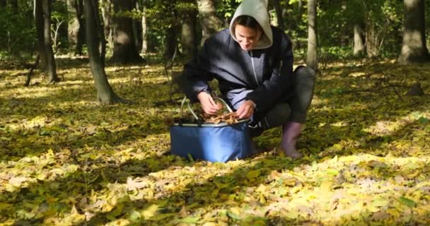 La donna nella foresta si siede su un ceppo, pulisce un fungo con un coltello. Dolly ha sparato. — Video Stock