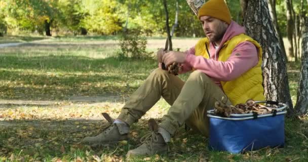 L'homme dans la forêt s'assoit sur un moignon, nettoie un champignon avec un couteau. Dolly shot — Video