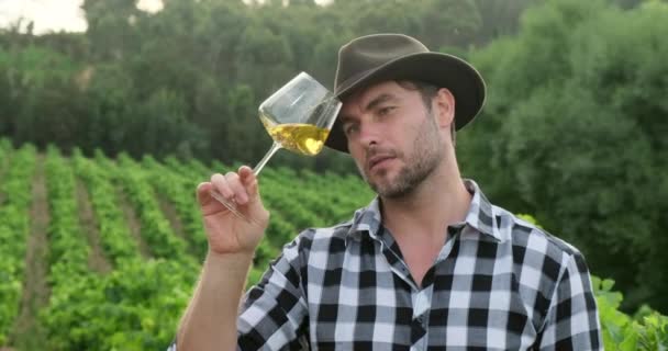 Hombre con estilo en una camisa sostiene una copa de vino en su mano y levanta su ok — Vídeo de stock