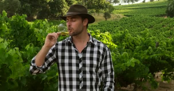 Stylish man in a shirt holds a glass of wine in his hand and raises his thumb up — Stock videók