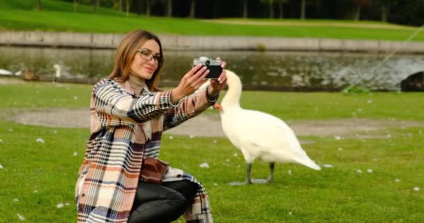 Ragazza prende un selfie sullo sfondo di un bellissimo cigno bianco nel parco — Video Stock