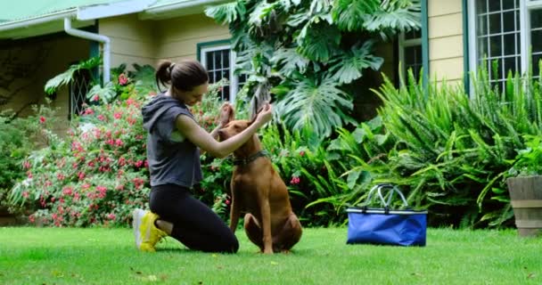 Спортивна дівчина на зеленій траві грає з красивою собакою у дворі будинку — стокове відео