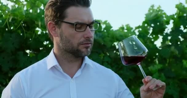 Stijlvolle man in een wit shirt in de wijngaard test rode wijn uit een glas — Stockvideo