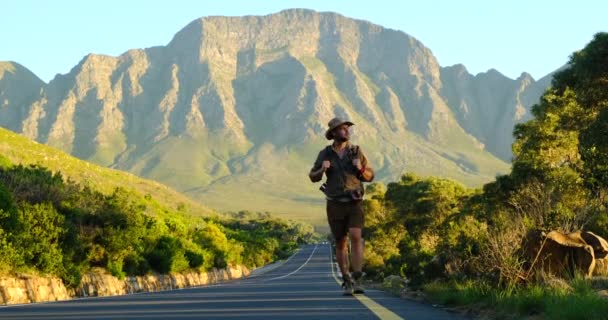 Caminhante ativo desfrutando da vista. homem caminhadas na natureza durante o bom tempo — Vídeo de Stock