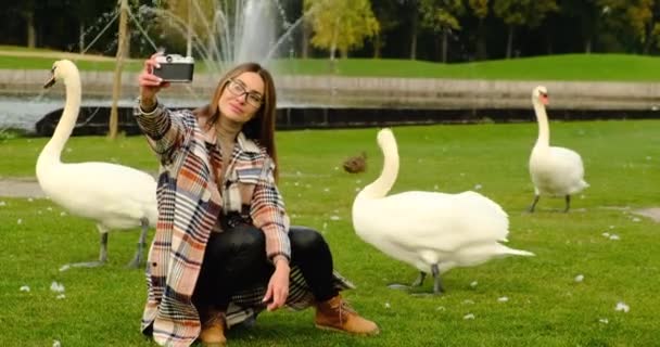 Egy ornitológus tanulmányozza a fehér hattyú viselkedését természetes élőhelyén — Stock videók