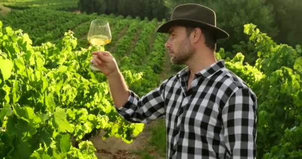 Vinař, podnikatel v zemědělství, muž na vinici se sklenkou bílého vína. — Stock video