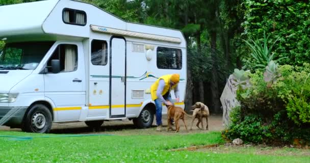 Köpekli bir adam. Arkadaşları karavanla geziye çıkıyor. — Stok video