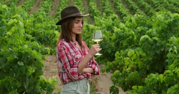 Hermosa chica en sombrero caminando en una gran plantación de viñedos, Toscana, Italia. — Vídeo de stock