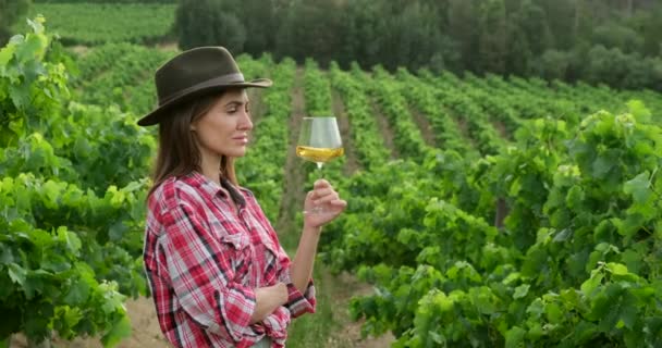 Piękna dziewczyna w kapeluszu spacerująca po dużej plantacji winnic, Toskania, Włochy. — Wideo stockowe