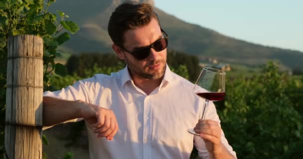 Ein männlicher Sommelier im weißen Hemd steht in einem Weingut mit einem Glas Wein Italien — Stockvideo