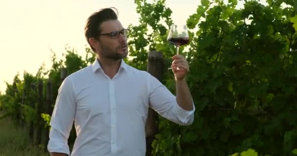 白いシャツを着た男性ソムリエがワインを片手にワイナリーに立つ — ストック動画