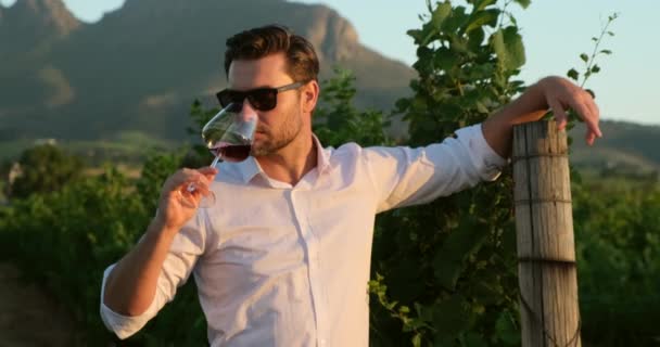 Stylish man in a white shirt tests red wine from a glass in a vineyard Italy — стокове відео