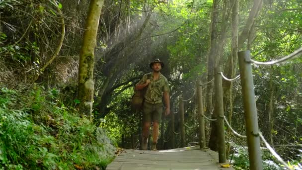 Viaggiatore maschile in stile safari nella giungla. raggi di sole nella nebbia nella foresta — Video Stock