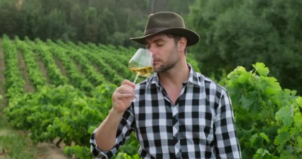 เกษตรกรชายดมกลิ่นไวน์ชนิดใหม่และถือเงินในมือของเขา — วีดีโอสต็อก