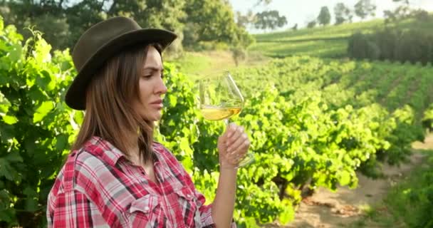 Girl in a dress with a glass of wine on the background of vineyards and mountain — Vídeo de stock
