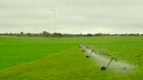 Système d'irrigation en fonction arrosage des plantes agricoles. — Video