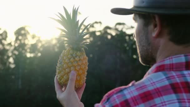 The farmer holds a ripe pineapple in his hands and looks at the sun — Wideo stockowe