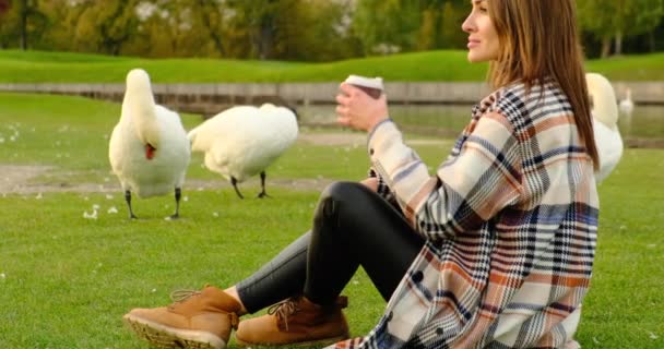 Beautiful Swans Swan Park Elegant Girl Coat Sits Green Grass — Stockvideo