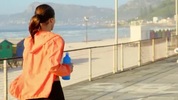 Спортивна дівчина в куртці рано вранці заходить для спорту на океані — стокове відео